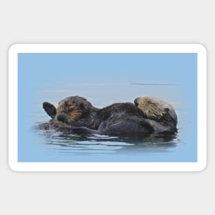 Wildlife gifts, mama sea otter and her babe Sticker